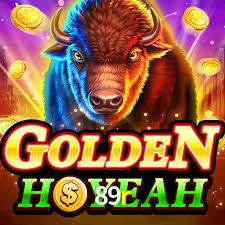 Tournaments 89r